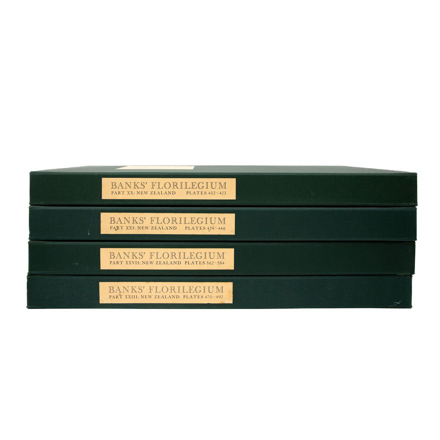 BANKS, JOSEPH - Banks Florilegium - New Zealand Section