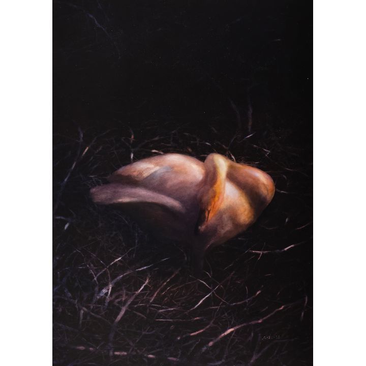 Kent Lovelace ''Preening Swan'' Oil on Copper