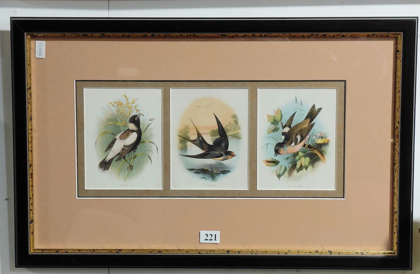 221 · BIRD PRINTS