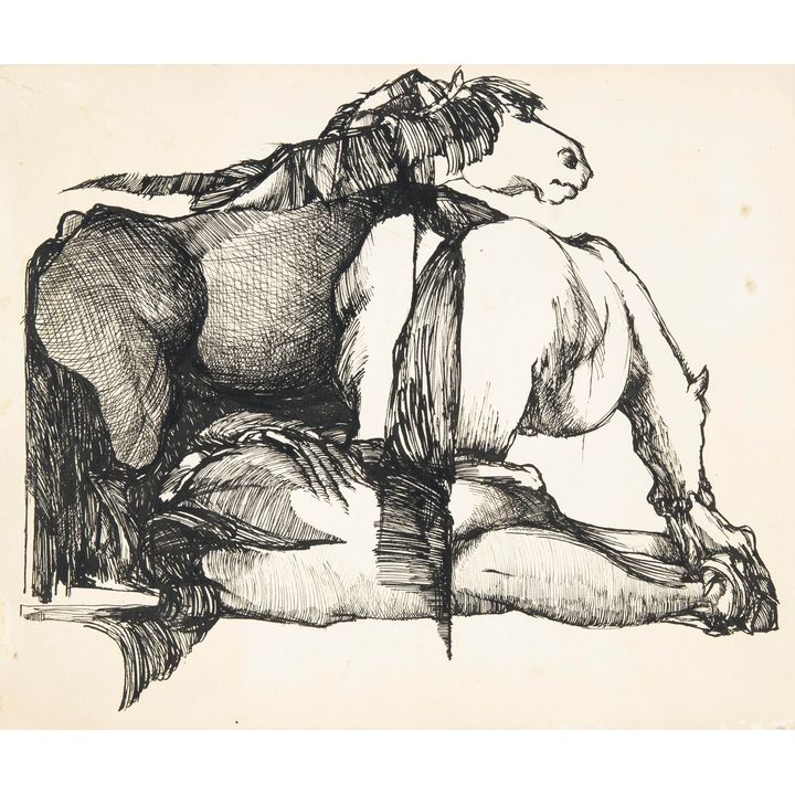 Wiesław Rosocha | Konie