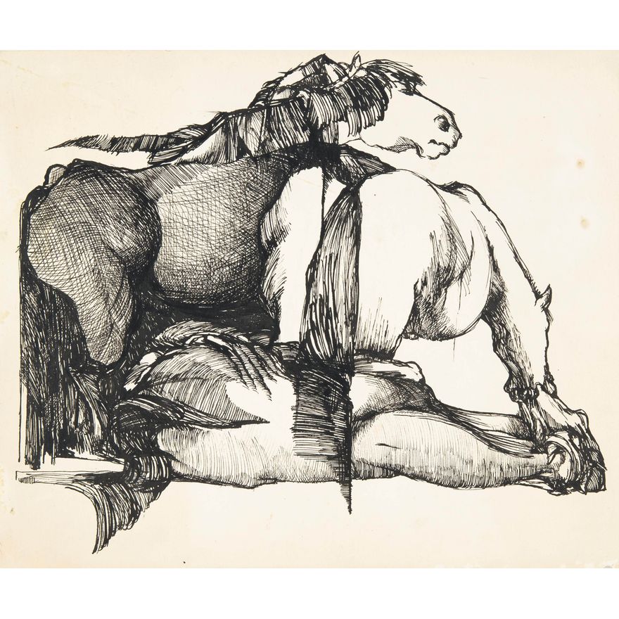 Wiesław Rosocha | Konie