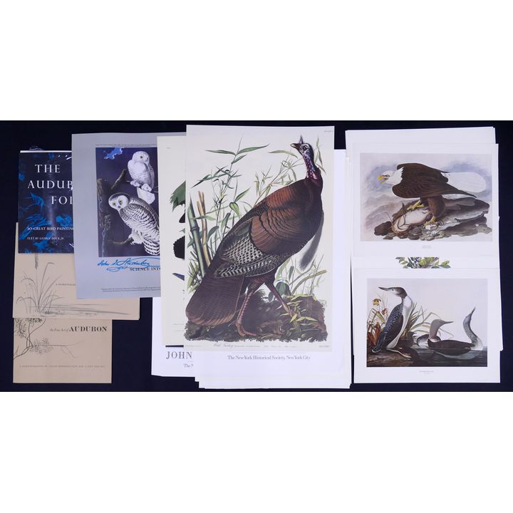 Large Group Audubon Decorator Lithographs and Posters. Roughly 20pc including 3 portfolios.