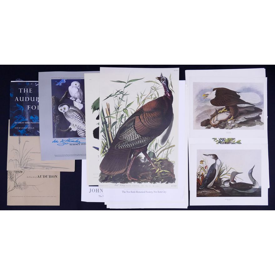 Large Group Audubon Decorator Lithographs and Posters. Roughly 20pc including 3 portfolios.