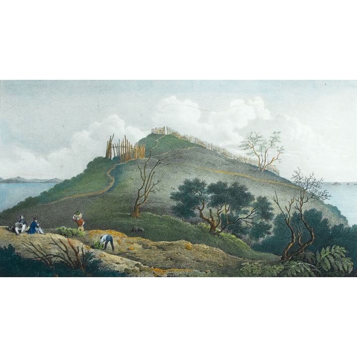 De Sainson 'Vue de Kahouwera. Village fortifi’e a la abaie des iles (Nouvelle Zélande)'