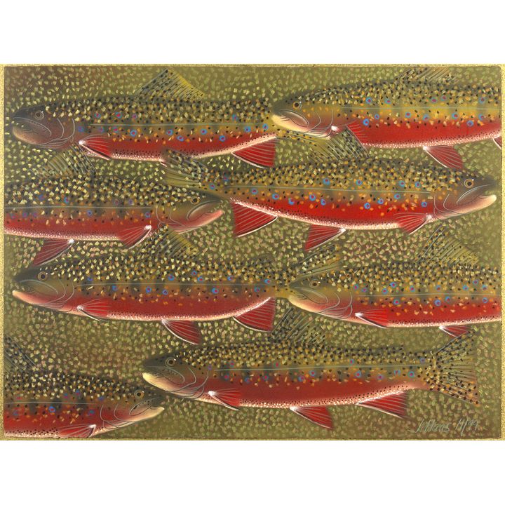 Judy Haas (1953- ), Trout