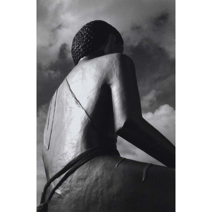 Peter Peryer 'The Buddha at Kaukapakapa'
