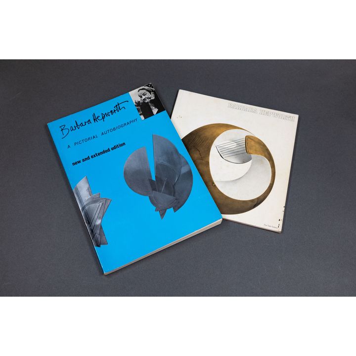 Barbara Hepworth - A Pictorial Biography