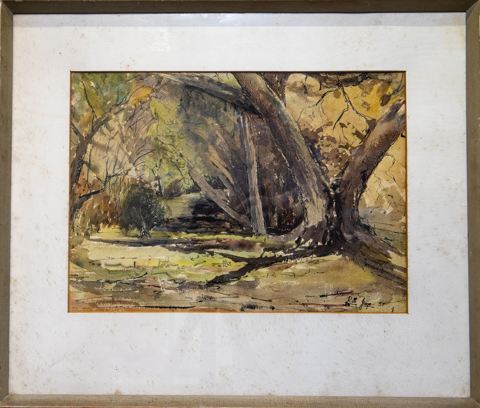 Rob Jago, 'Botanic Gardens Brisbane', 1957,