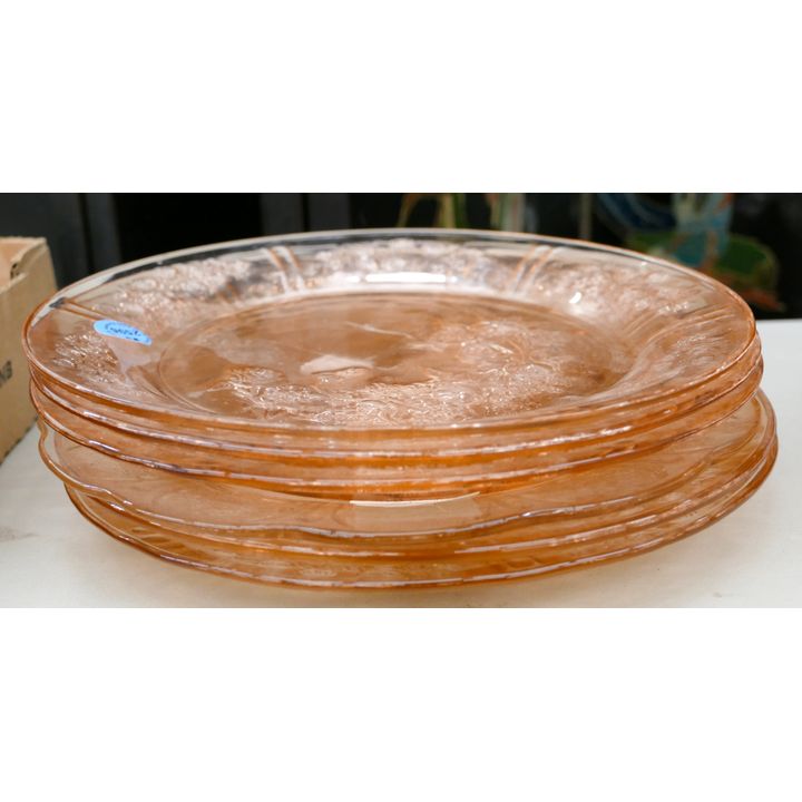 Stack 6pc Sharin Rose Dinner Plates 9''