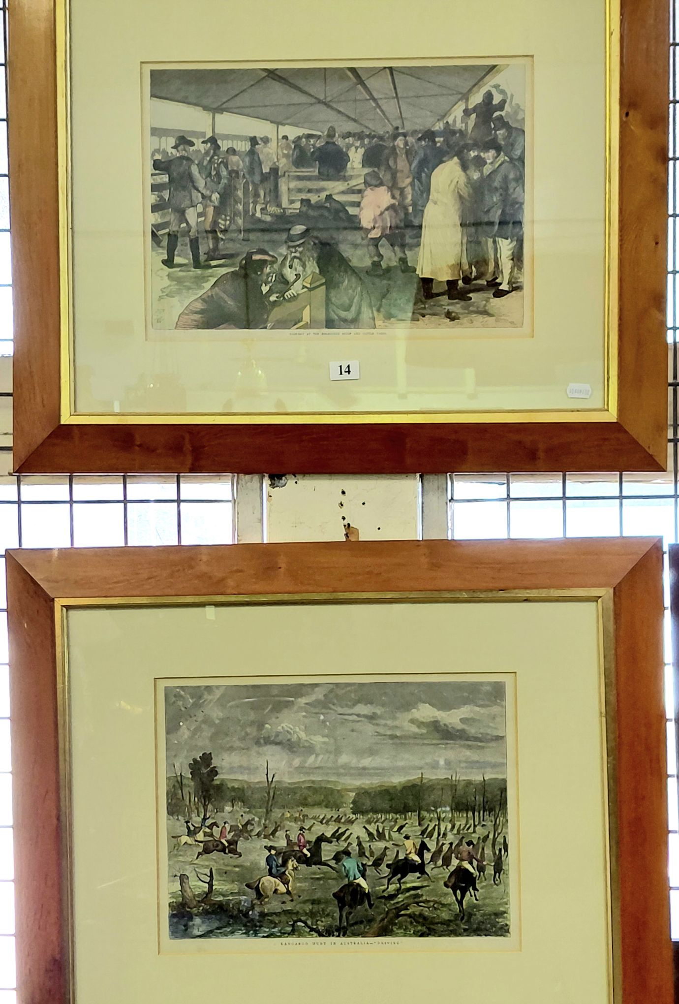 Coloured Engravings