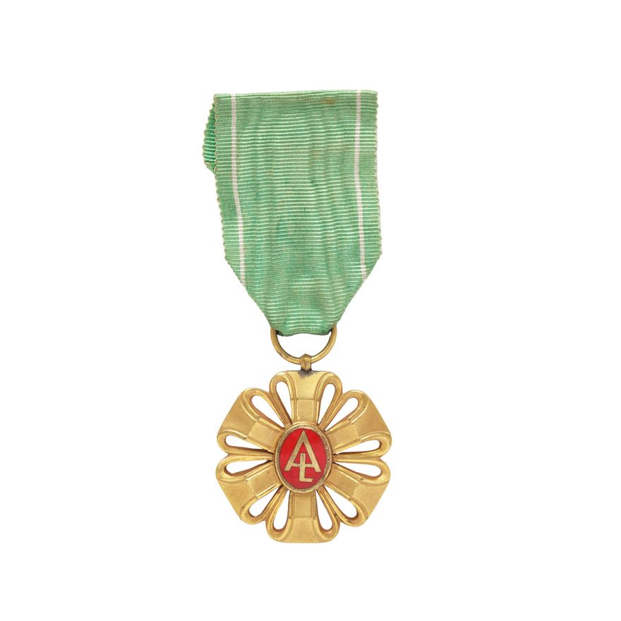 WAWRZYN AKADEMICKI