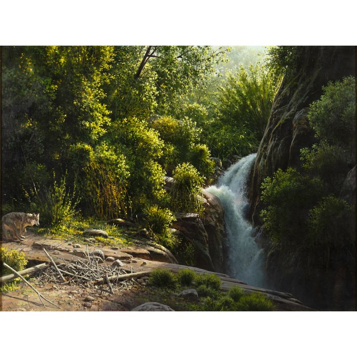 Bill Hughes (1932-1992), Coyote Creek