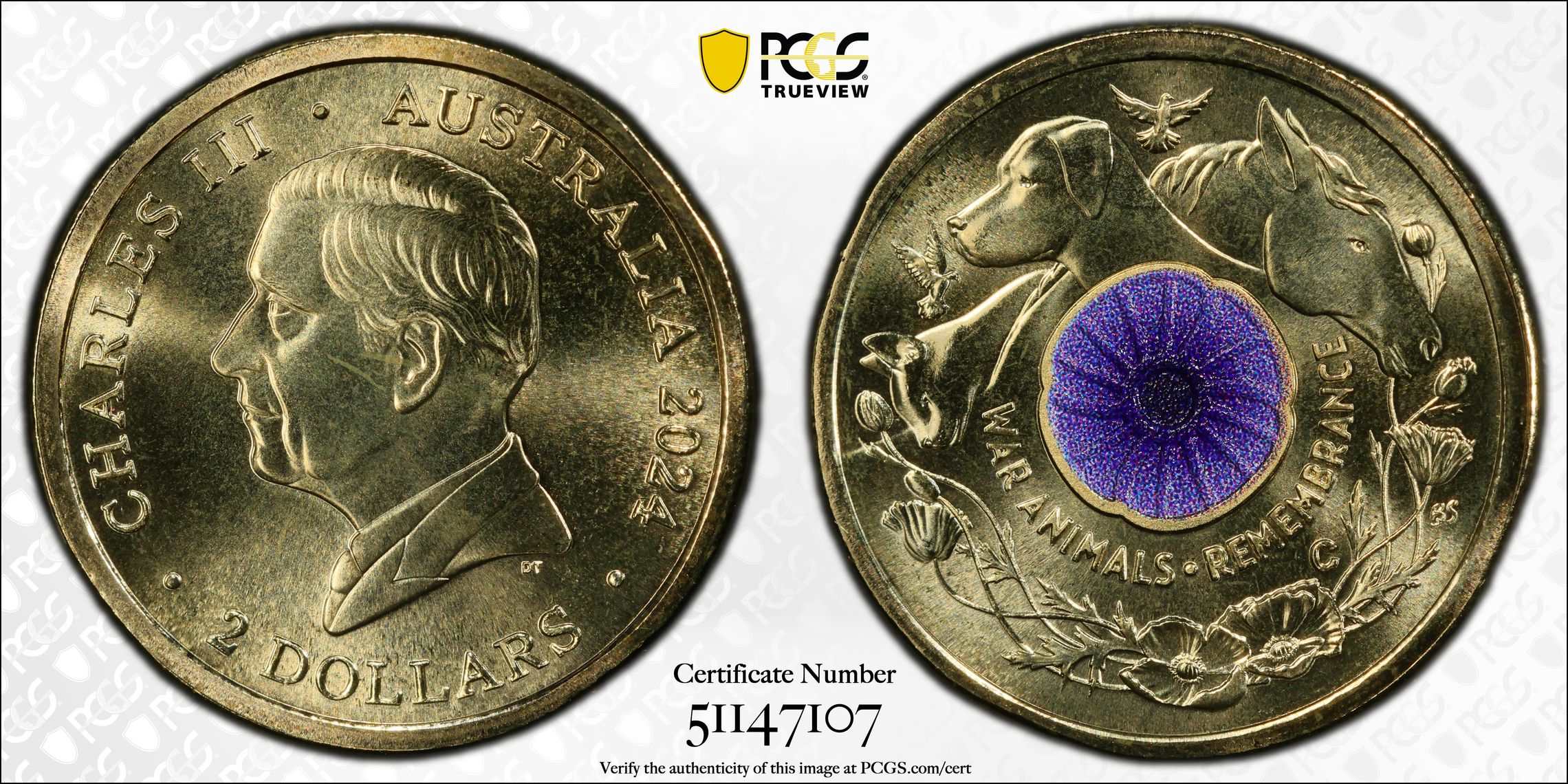War Animal Remembrance Colorized, Two Dollar, 2024-C, PCGS MS68