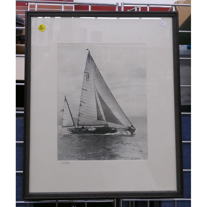 Dorade Sailboat Art Photograph Framed- 19x16''