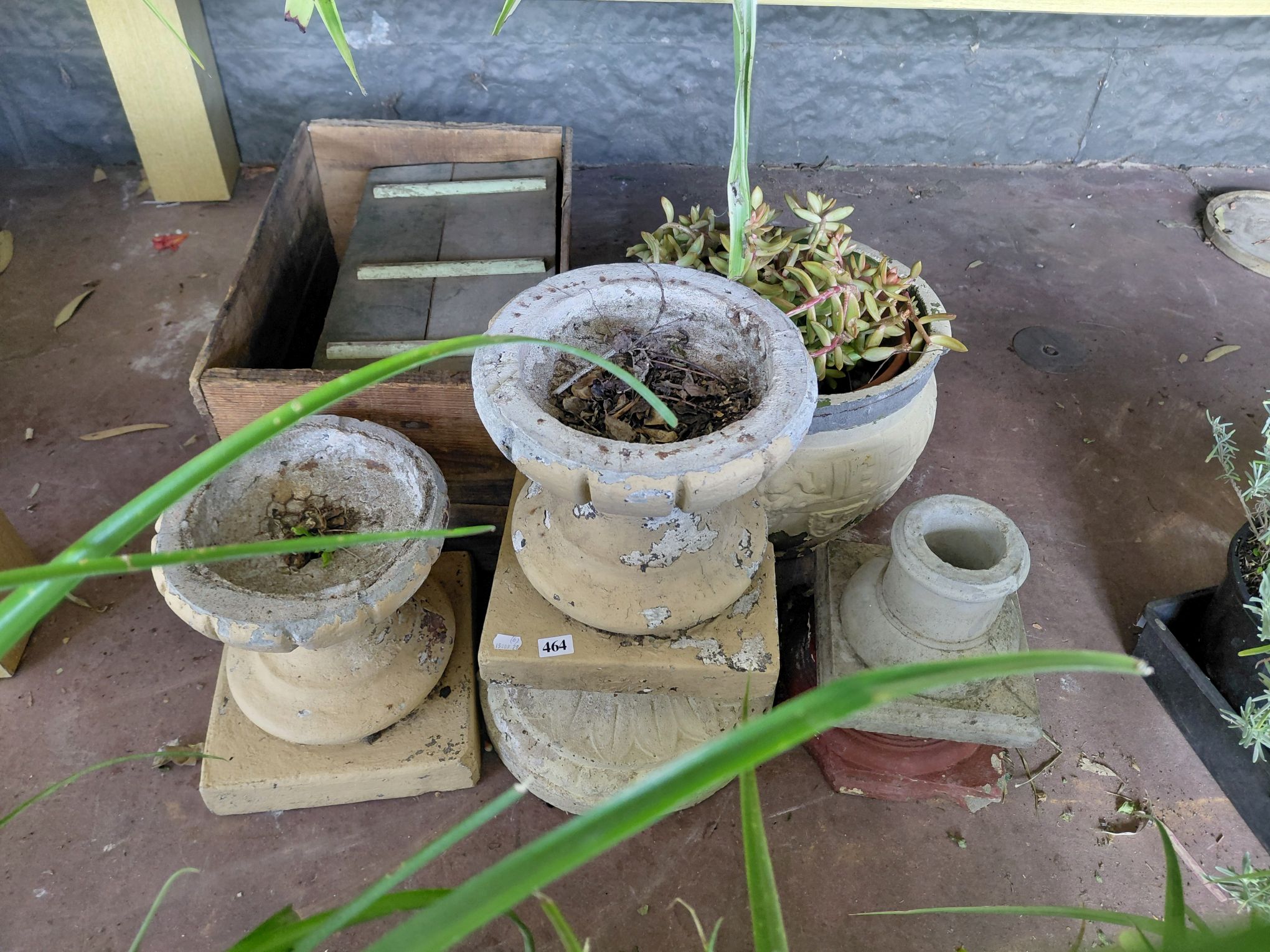 464 · SUCCULENT AND CONCRETE PLINTHS