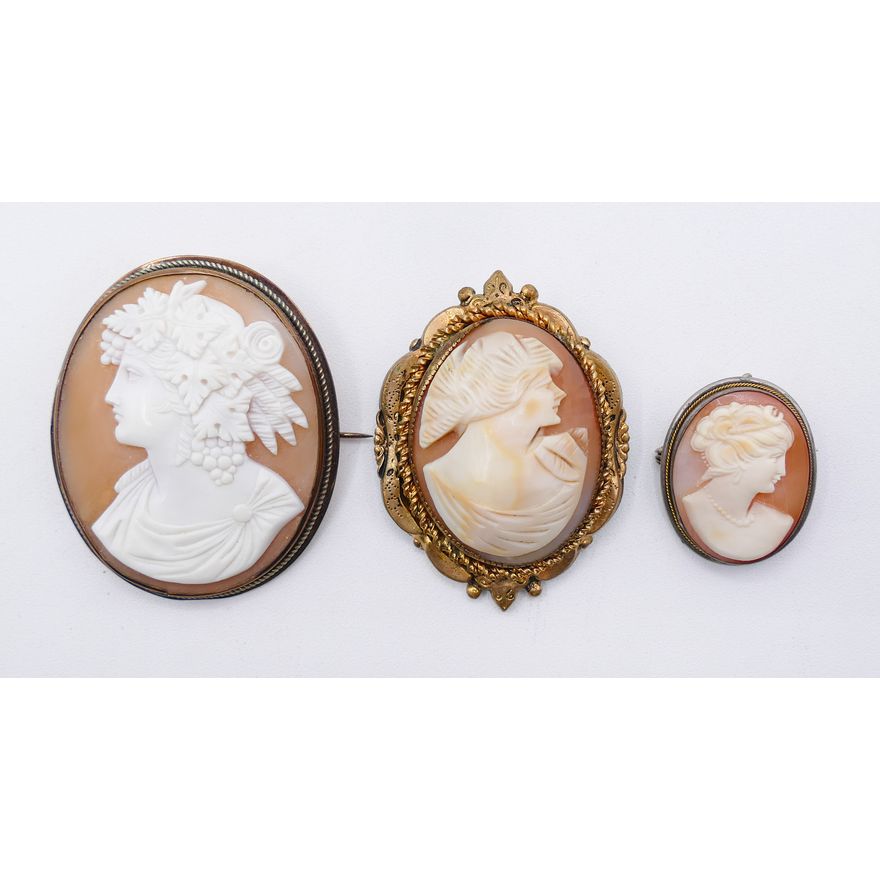 Box 3pc Old Shell Cameo Brooches