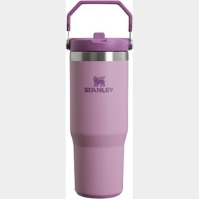 STANLEY ICEFLOW STAINLESS STEEL TUMBLER - VACUUM INSULATED WATER BOTTLE FOR HOME, OFFICE OR CAR REUSABLE CUP WITH STRAW LEAK RESIS