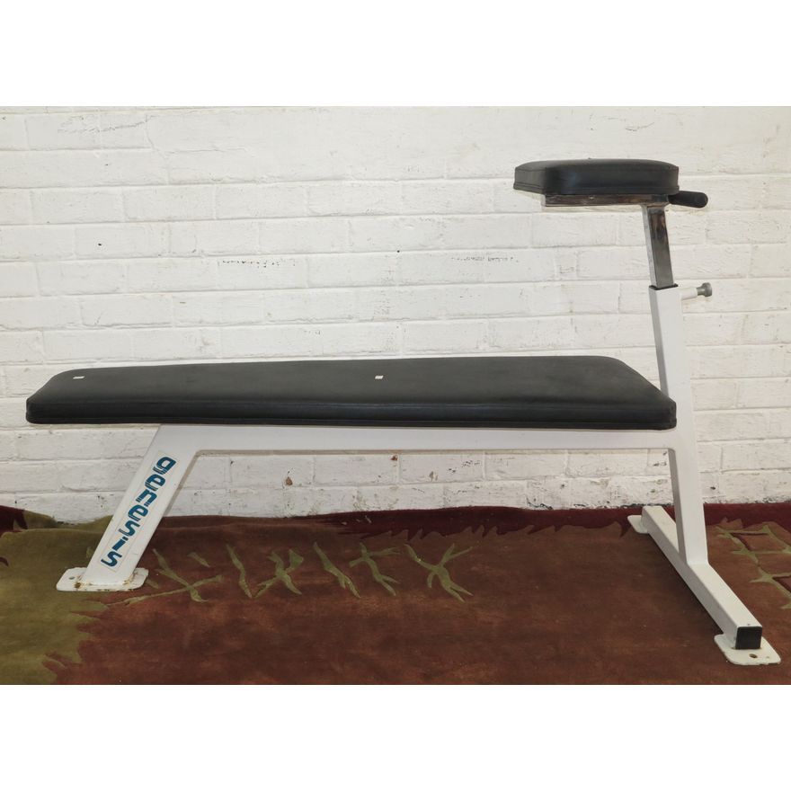 GENESIS EXERCISE BENCH
