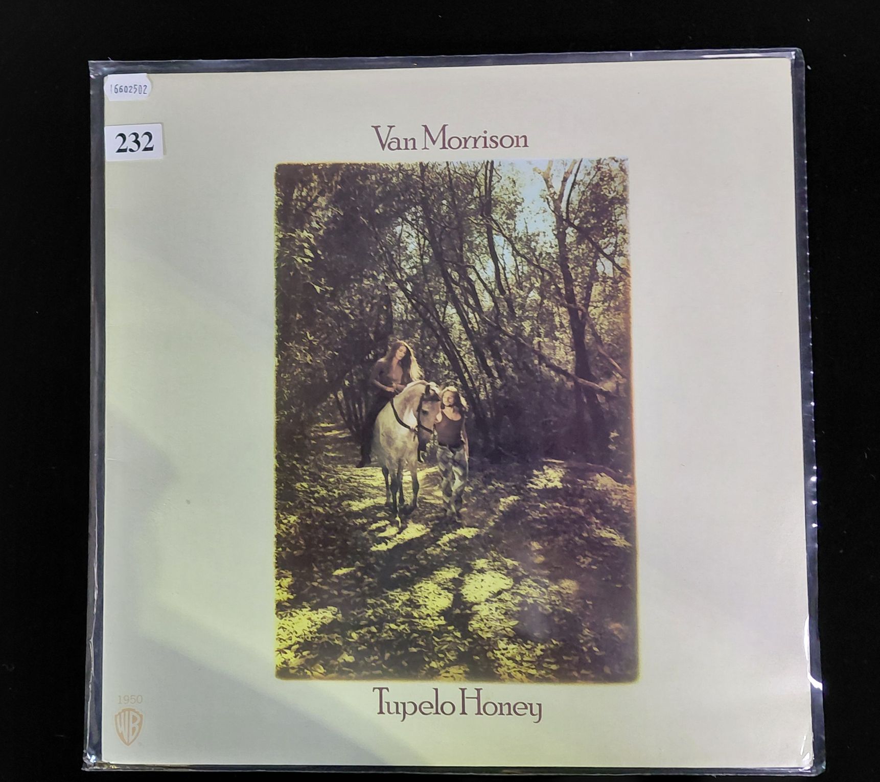 Van Morrison