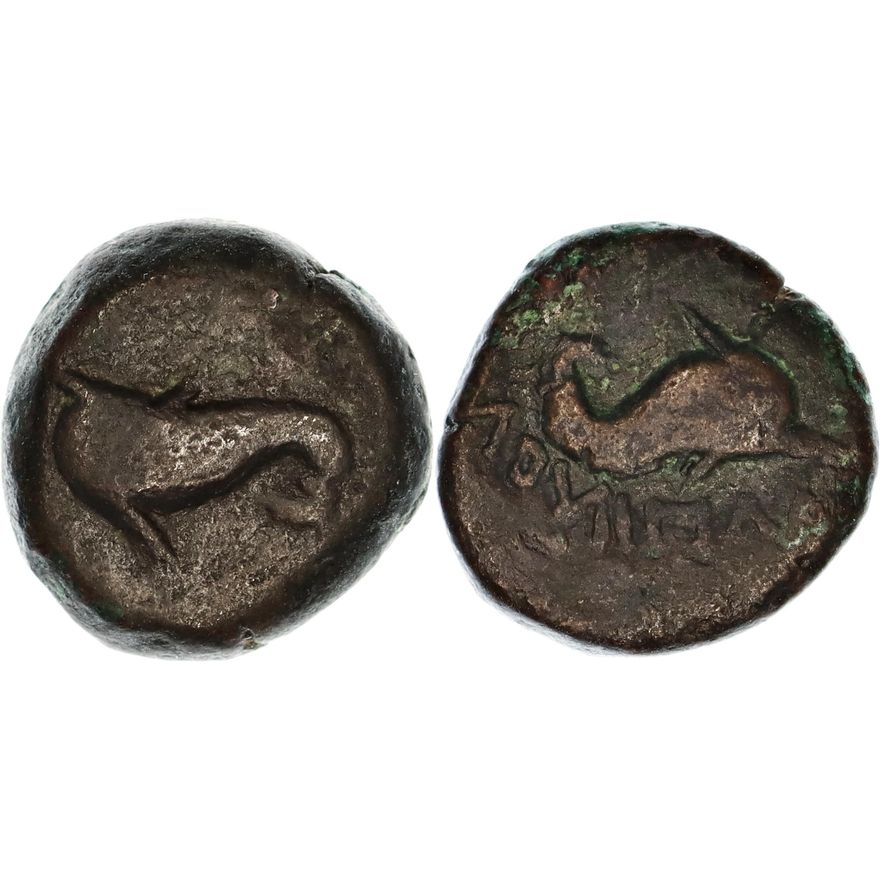 Apulia, Salapia, Æ Unit, 3rd Century BC,  VF
