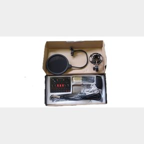 Professional Condenser Microphone And Sound Card BM800