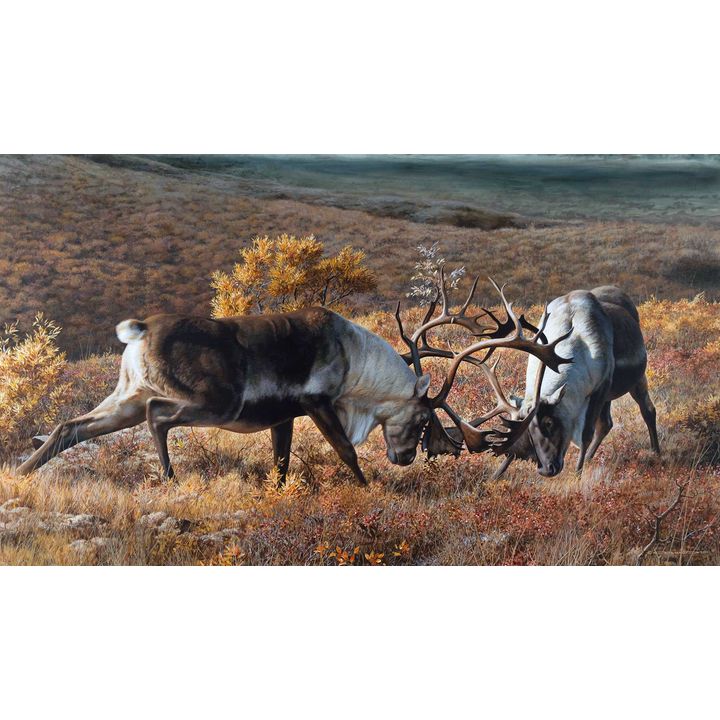 Carl Brenders (1937- ), Tundra Challenge