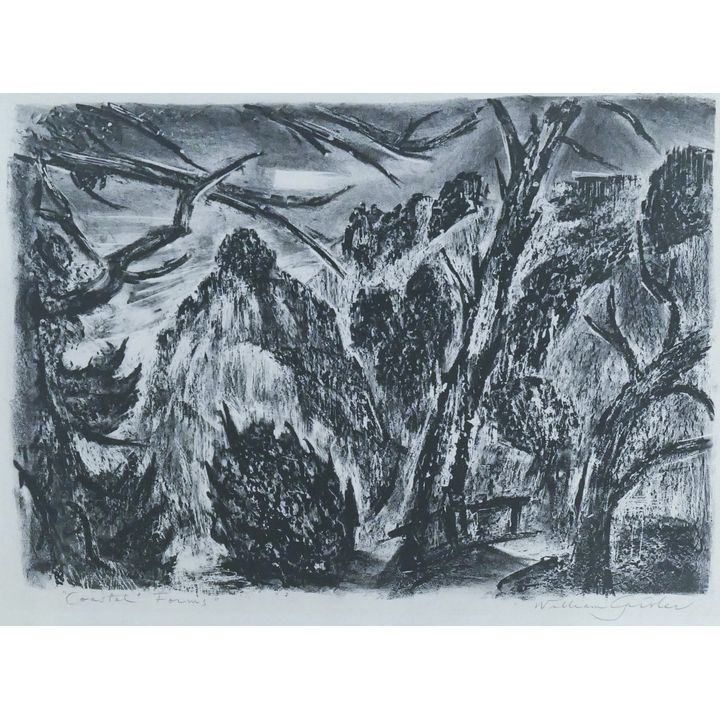 William Givler ''Coastal Forms'' Signed Lithograph 13''x20''