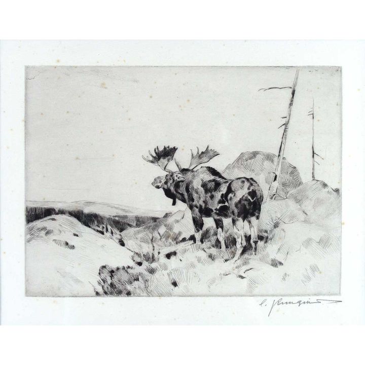 The Answer from the Barren by Carl Rungius (1869-1959)