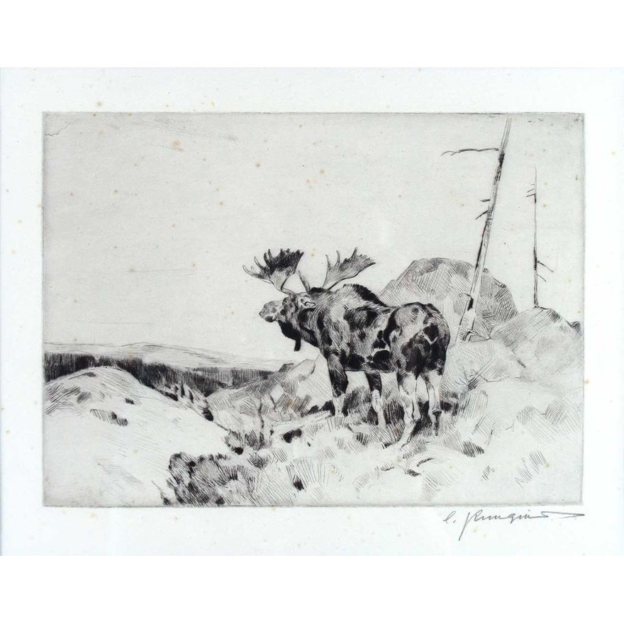 The Answer from the Barren by Carl Rungius (1869-1959)