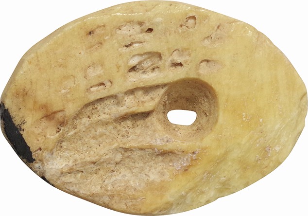 中国 古文銭 骨製貝化 殷代