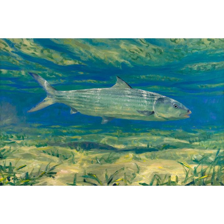 Mike Stidham (1954- ), Bonefish