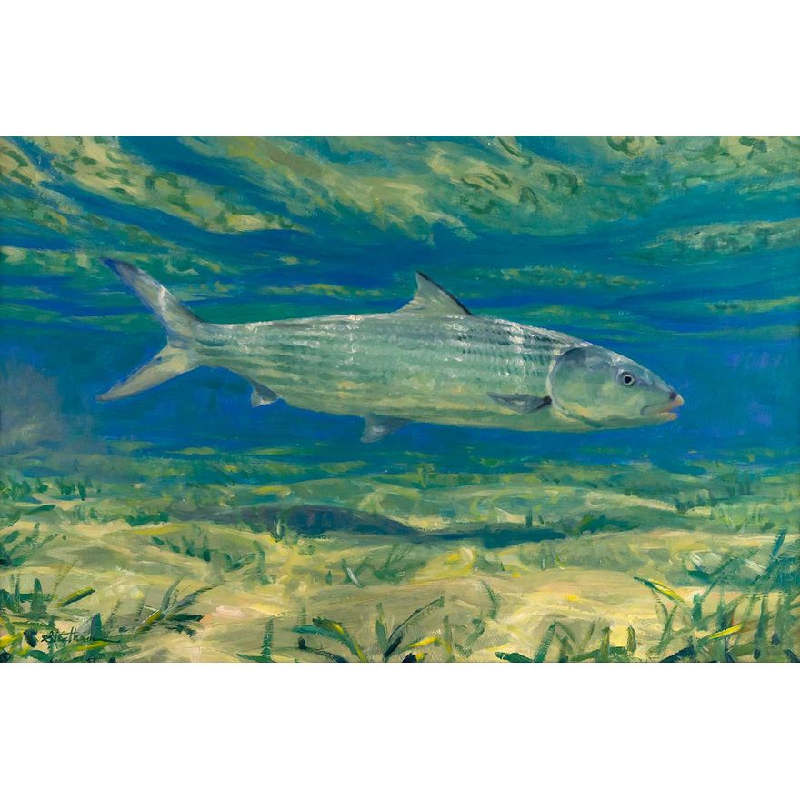 Mike Stidham (1954- ), Bonefish