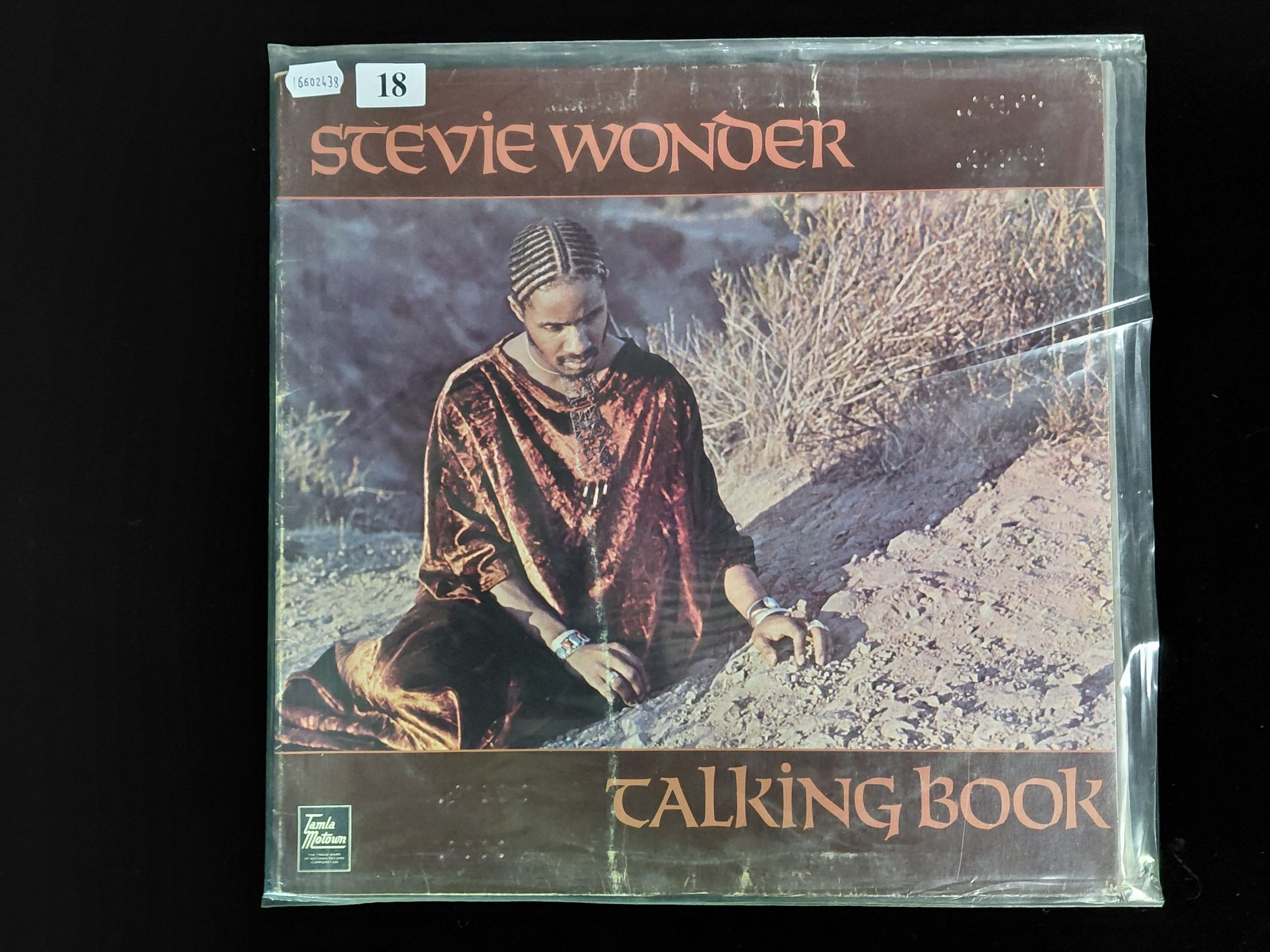 Stevie Wonder