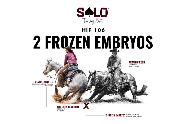 Two frozen embryos, Metallic Rebel x ARC Ruby Playgunia, Lot 106 in the Solo Select October Sale