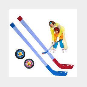 Grab Your Sticks Hit the Grass (or Living Room Floor!) Kids Hockey - Mini-Wayne Gretzkys: Score Endless- 51745/28497 SN B2 (S2)