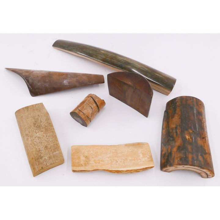 Box Large Mastodon Tusk Pieces