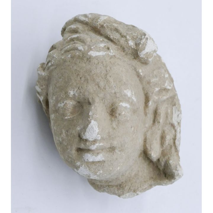 Ancient Gandharan Stucco Head Fragment