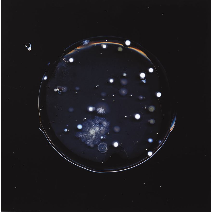 Dane Mitchell 'Astronomical Smithereens'