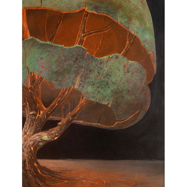 Bartosz Stępiński | Grzyb, 2015