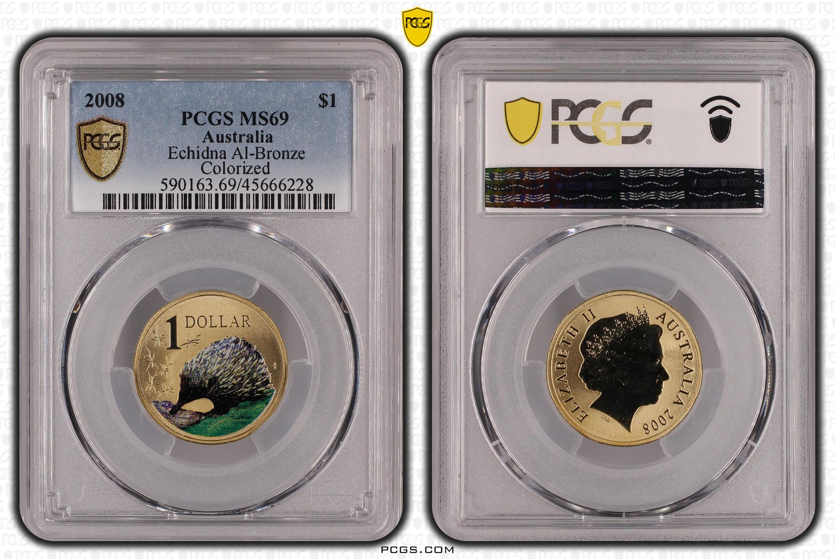 2008 Australia One Dollar, $1 Echidna Al-Bronze Colorized PCGS - MS69 POP 8/0 -228