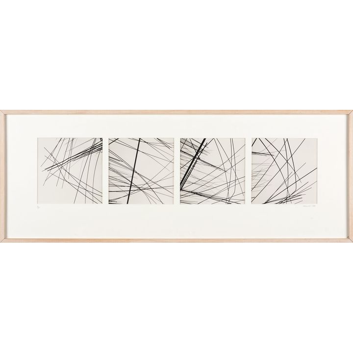 Murray Hedwig 'Steel II'