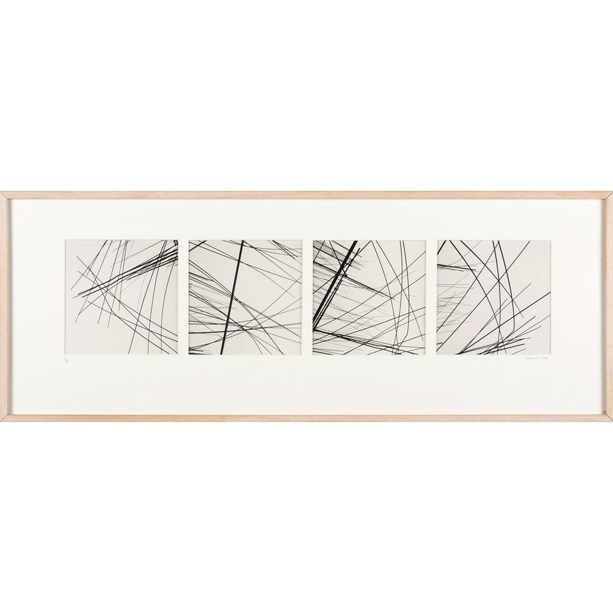 Murray Hedwig 'Steel II'