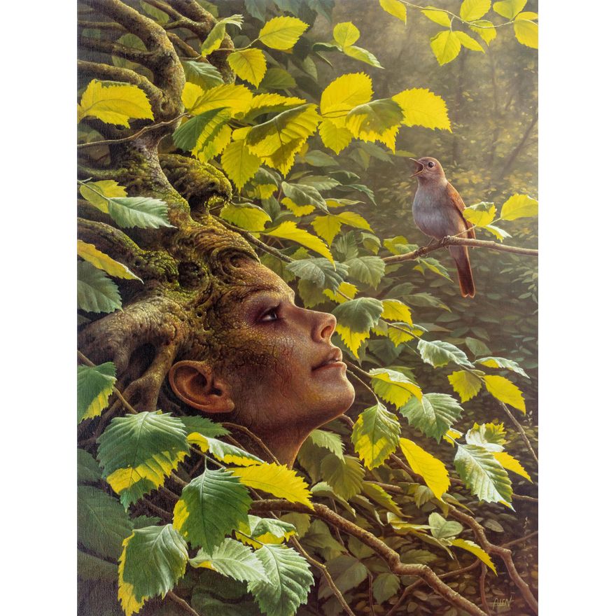 Tomasz Alen Kopera | B18, 2018