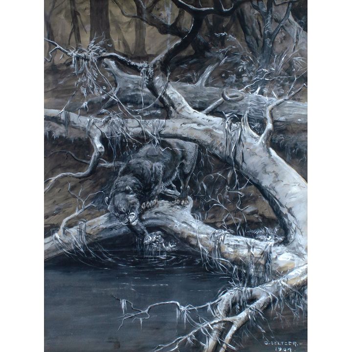 Fishing Cougar by O.C. Seltzer (1877-1957)