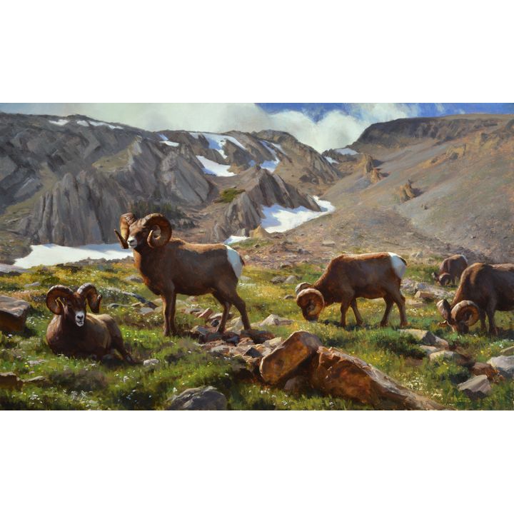 Kyle Sims (1980- ), Montana Heights