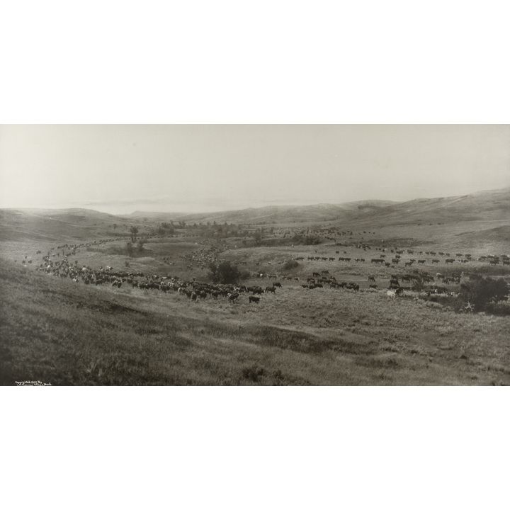 Laton A. Huffman (1854-1931), Throwing Rangers to the Round-up, Big Dry, Montana