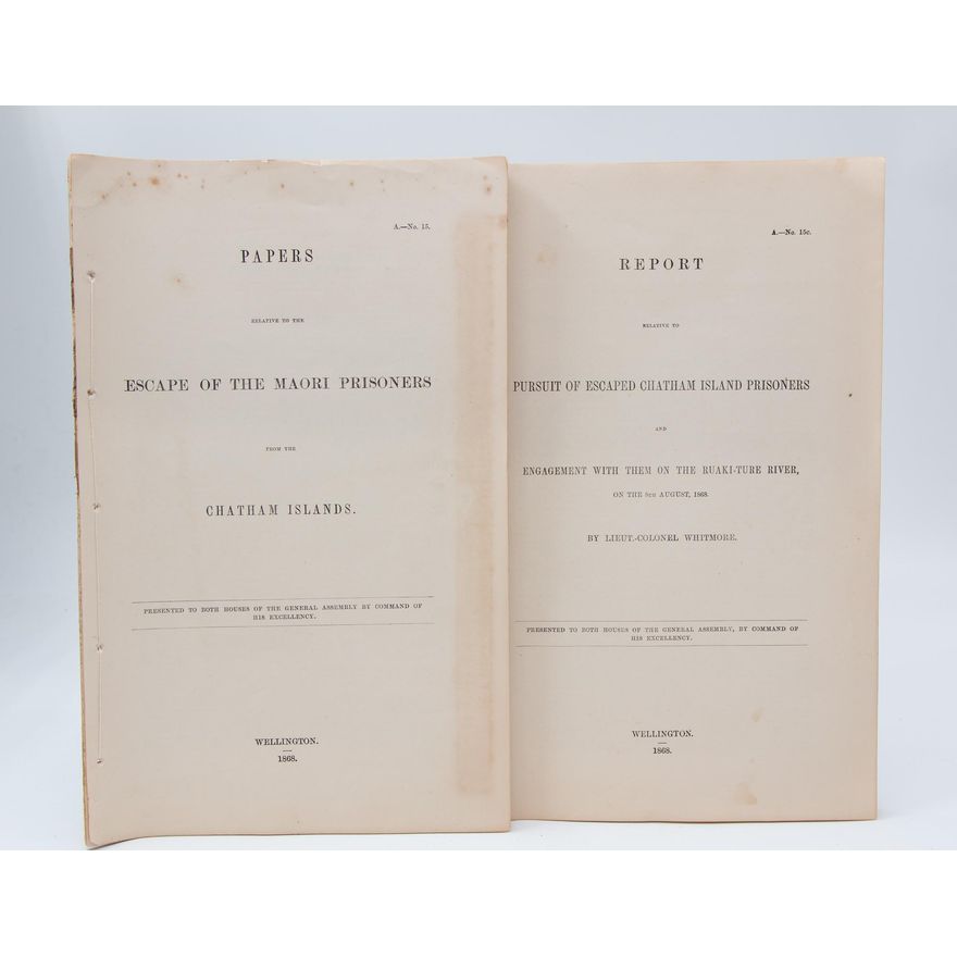 GOVERNMENT PAPERS [2 papers & 1 titles]