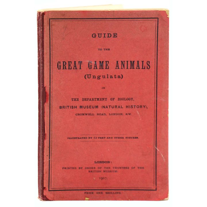 BRITISH MUSEUM OF NATURAL HISTORY.  [Association Copy] - Guide to the Great Game Animals [Ungulata]…