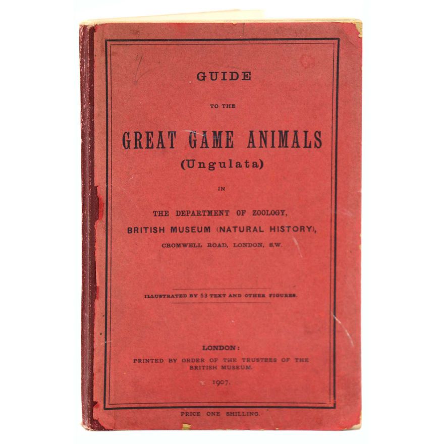 BRITISH MUSEUM OF NATURAL HISTORY.  [Association Copy] - Guide to the Great Game Animals [Ungulata]…