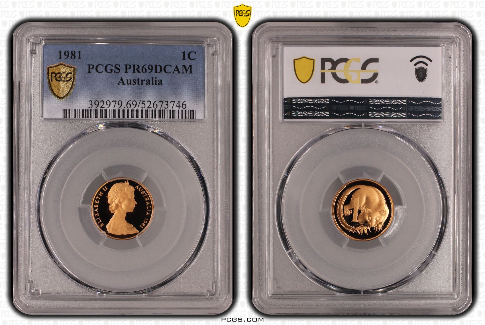 One Cent, 1981, Pcgs Pr69dcam